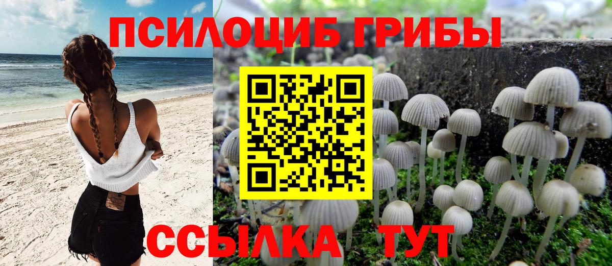Галлюциногенные грибы мицелий  Вход с VPN  Псилоцибиновые грибы MAGIC MUSHROOMS  Йошкар-Ола 